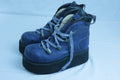 SM TRUCK 2 BLUE/PURPLE